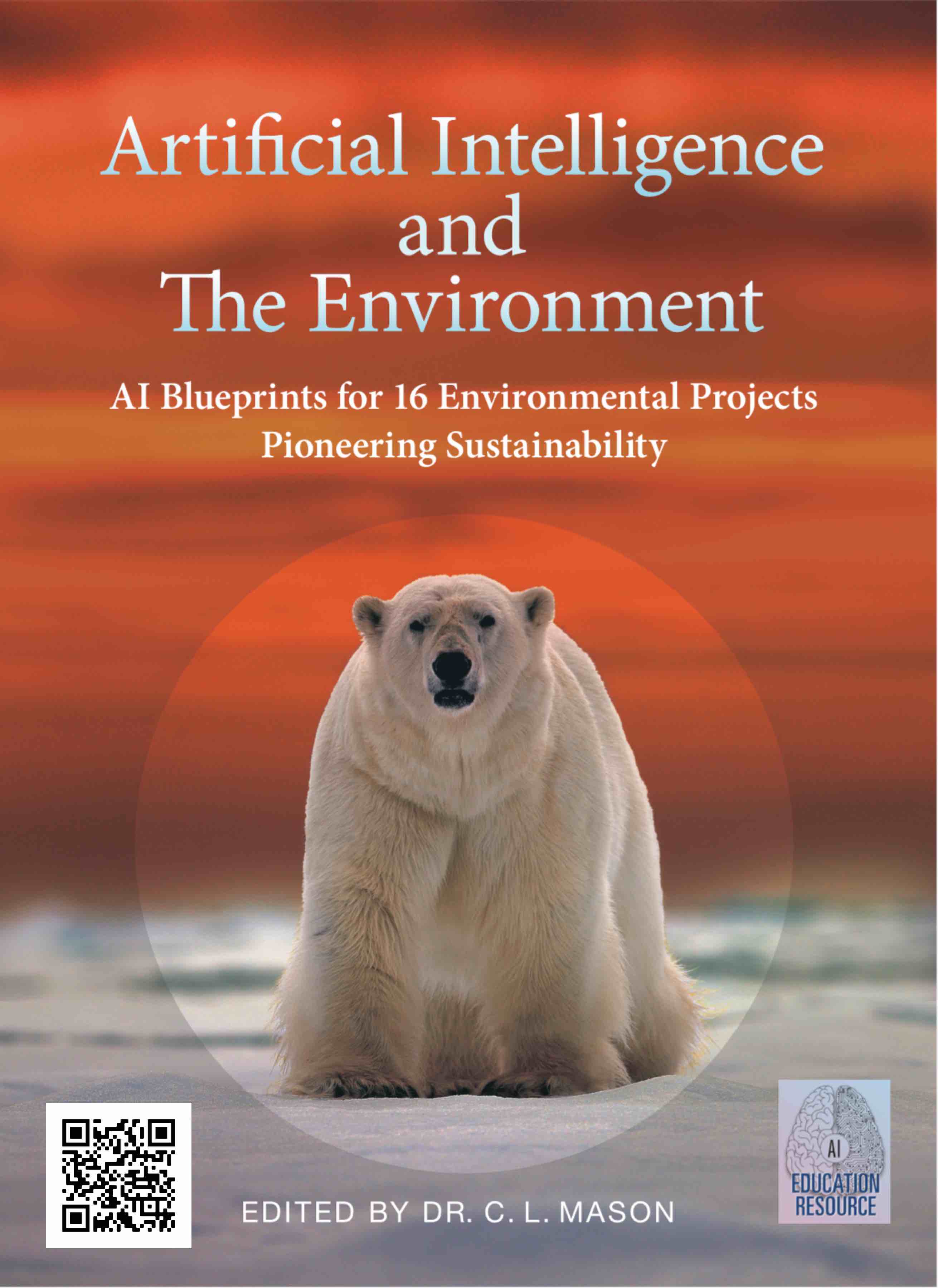 AI and
        Environment book cover Cindy Mason